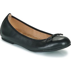 Unisa Ballerinas ACOR
