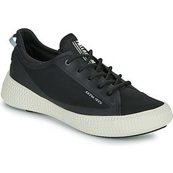 Palladium Sneaker PALLANOVA CVS
