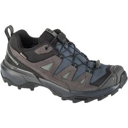Salomon Damenschuhe X Ultra 360 Ltr Gtx