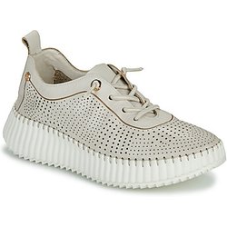 Carmela Sneaker 162369
