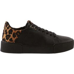 Högl Sneaker -