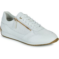 Geox Sneaker D36N0A05485C1000