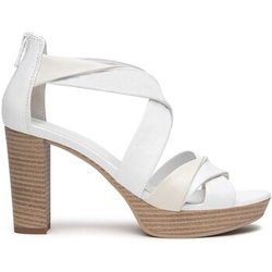 NeroGiardini Pumps Pumps