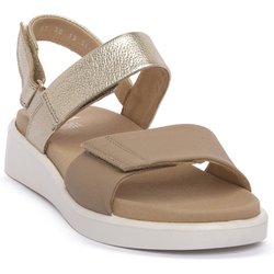 Ara Sandalen CERVOCALF GAUCHO