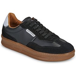 Steve Madden  Sneaker EUPHORIA