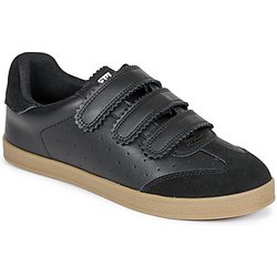 Steve Madden  Sneaker DAYBREAK