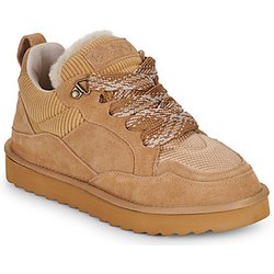 Colors of California Sneaker COW SUEDE SNEAKER