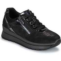 IgI&CO Sneaker D.ANIKA