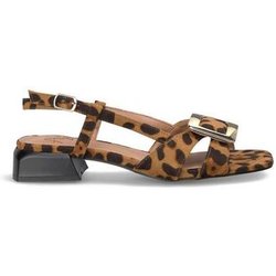 Alma Blue Pumps V25BLT125