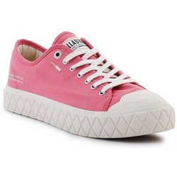 Palladium Halbschuhe Palla Ace Cvs Org