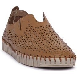 Frau  Halbschuhe 52P0CARA