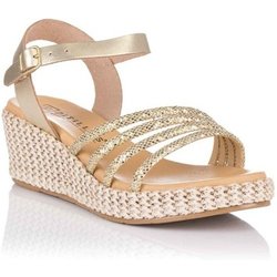 Pitillos  Pumps 10566