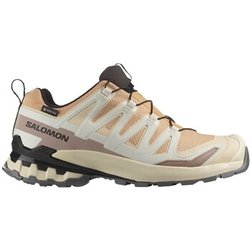 Salomon Damenschuhe Xa Pro 3d V9
