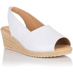 Doctor Cutillas Pumps 30501