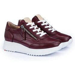 Lloyd Sneaker -