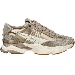Steve Madden Sneaker Sneaker