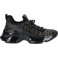 Steve Madden  Sneaker Sneaker