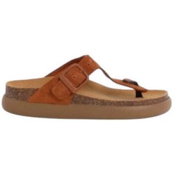 Scholl Sandalen Infradito