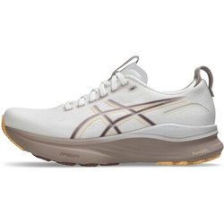 Asics Herrenschuhe -
