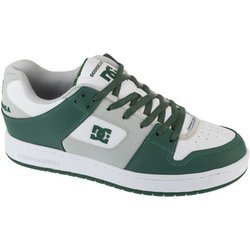 DC Shoes Sneaker Shoes Manteca SE