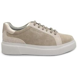 Stonefly Sneaker STO-I25-223241-BR