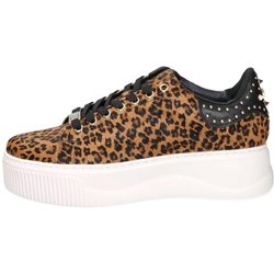 Cult Sneaker CLW464000