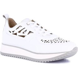 Grunland Sneaker DSG-SC2164