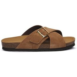 Frau  Pantoffeln 17D3TERR