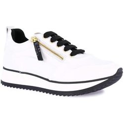 Grunland Sneaker DSG-SC2168