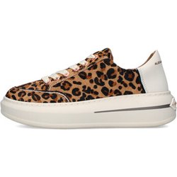 Alexander Smith Sneaker ASBCLSW-1856-CSF