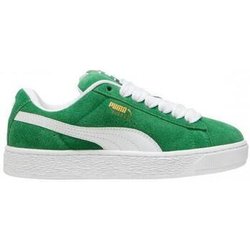 Puma  Sneaker 396577_12_suede_xl_verde