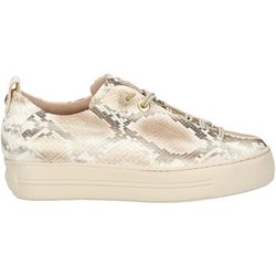 Paul Green Sneaker Sneaker