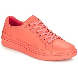 Timberland Sneaker San Francisco Flavor Oxford