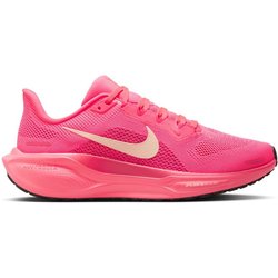 Pegasus 41 5.0