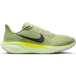 Pegasus 41 11.0