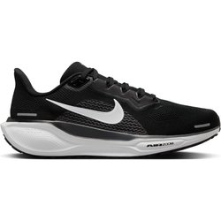 Pegasus 41 6.0