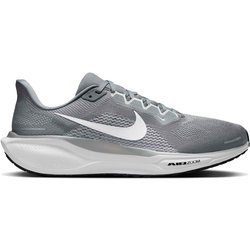 Pegasus 41 11.5
