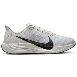 Pegasus Plus 10.0