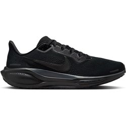 Pegasus 41 10.0