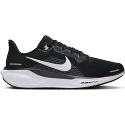 Pegasus 41 10.0