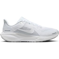 Pegasus 41 10.0