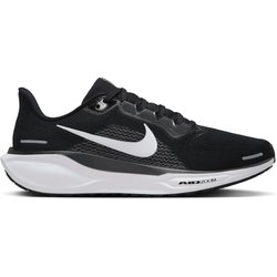 Nike Herren Pegasus 41 Schuhe