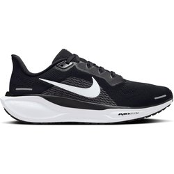 Nike Damen Pegasus 41 Schuhe