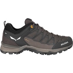 Salewa Herren MTN Trainer Lite GTX Schuhe