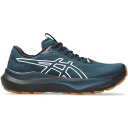 Asics GT 2000 14 TR Herren Laufschuhe (Petrol 10 44 EU) Laufschuhe