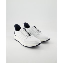 Ara Schuhe - Matteo Leder (Weiß, Gr. 47)