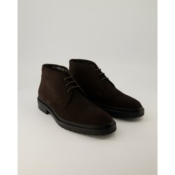 Ralph Harrison Schuhe - 99088-17 Veloursleder (Braun, Gr. 42)