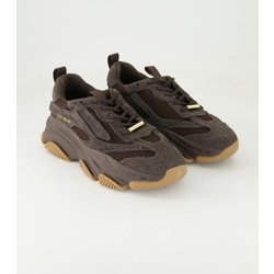 Steve Madden Schuhe - Possession-E Veloursleder und Textil (Braun, Gr. 36)