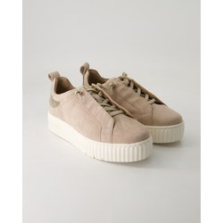 Salamander Schuhe - F31-Arp03-3440-1414 Veloursleder (Beige, Gr. 40)