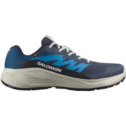Salomon - Alphaglide GORE-TEX - Trailrunningschuhe Gr 40 blau